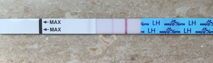 11 giorno ciclo e test ovulazione - 2