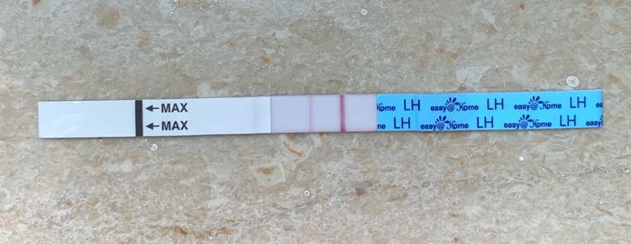 11 giorno ciclo e test ovulazione 4