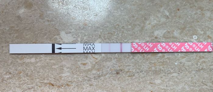 14pm test ovulazione negativo 4