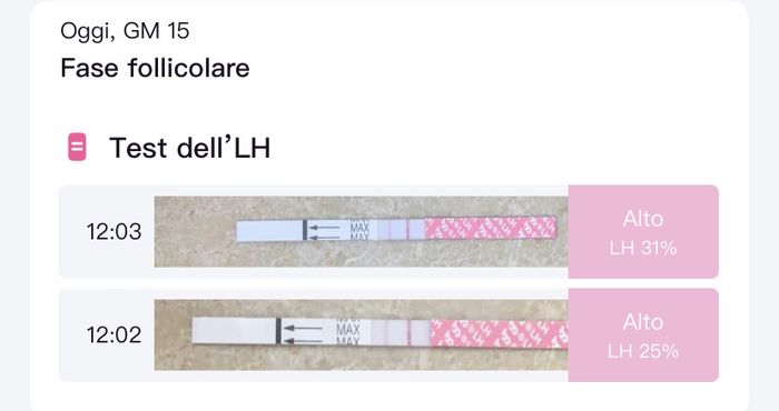 14pm test ovulazione negativo 14