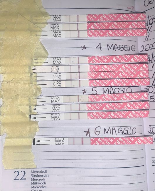 14pm test ovulazione negativo 15