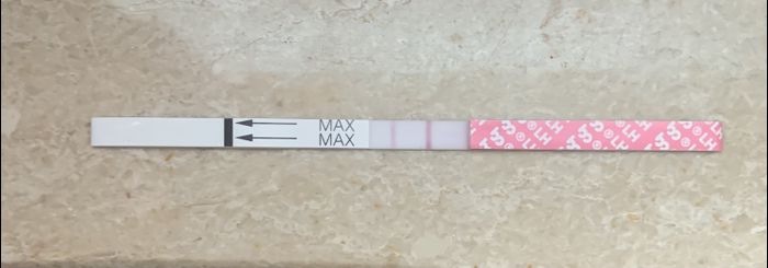 14pm test ovulazione negativo 10