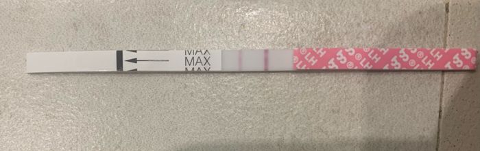 14pm test ovulazione negativo 4