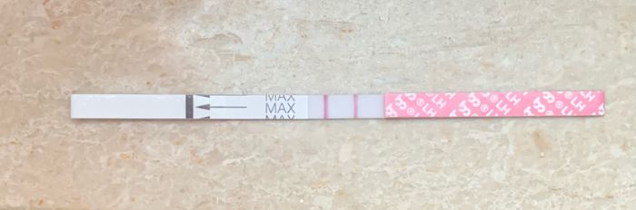 14pm test ovulazione negativo 2