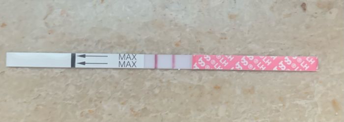 14pm test ovulazione negativo - 1