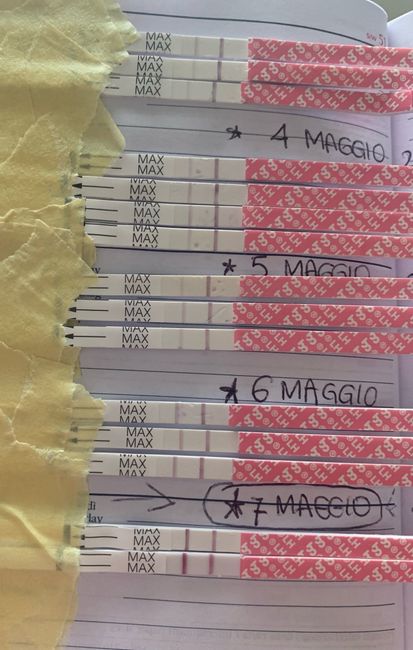 14pm test ovulazione negativo 2