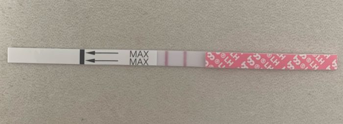 14pm test ovulazione negativo - 2