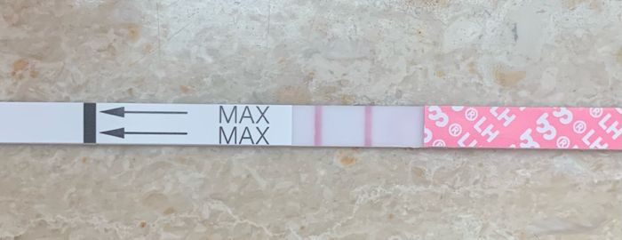 14pm test ovulazione negativo 19