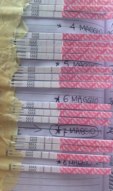 14pm test ovulazione negativo 21