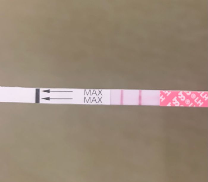 14pm test ovulazione negativo 17