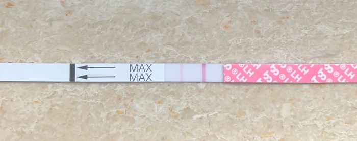 14pm test ovulazione negativo 15