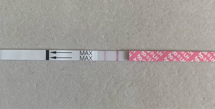 14pm test ovulazione negativo 14