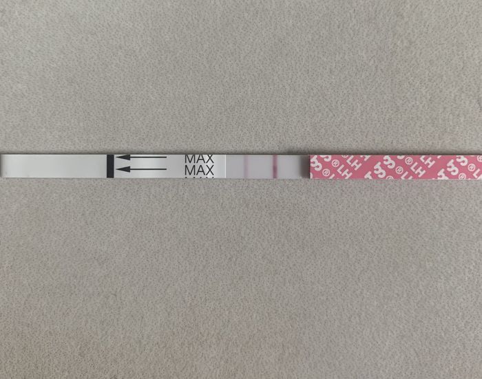 14pm test ovulazione negativo 12