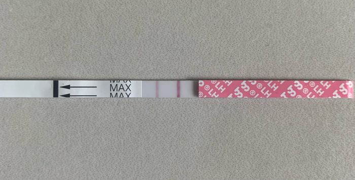 14pm test ovulazione negativo 8