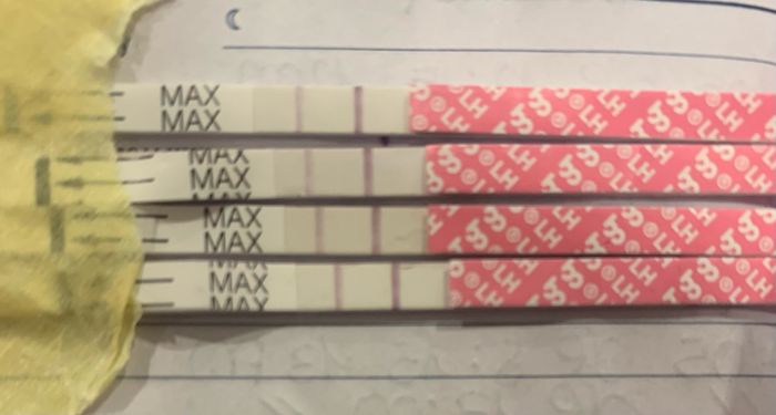 14pm test ovulazione negativo 6