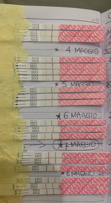 14pm test ovulazione negativo 7