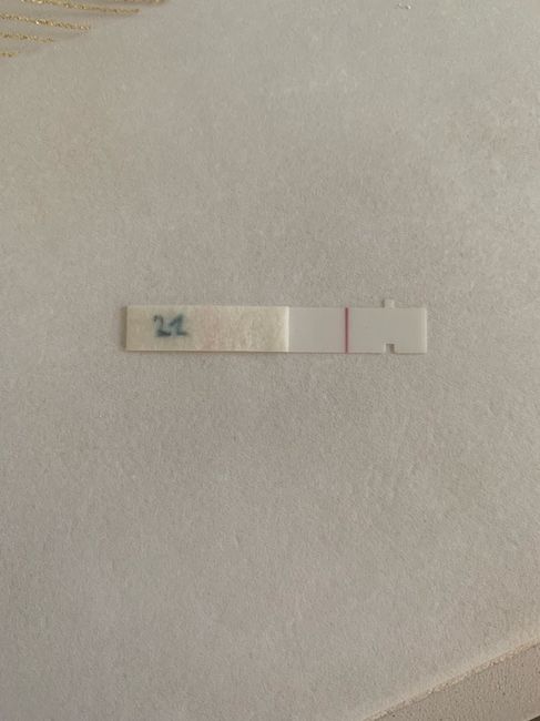 Temperatura basale per ricerca cicogna 🤞🏻 6