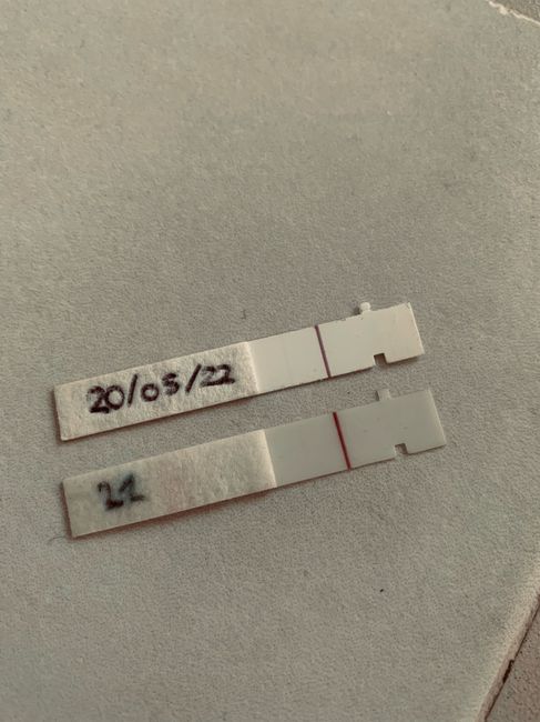 Temperatura basale per ricerca cicogna 🤞🏻 2