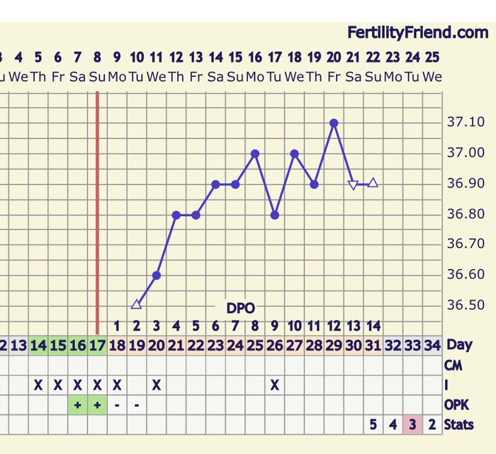 Temperatura basale per ricerca cicogna 🤞🏻 1