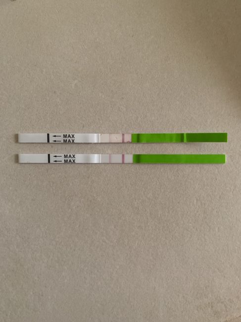 Esperte temperatura basale - 1