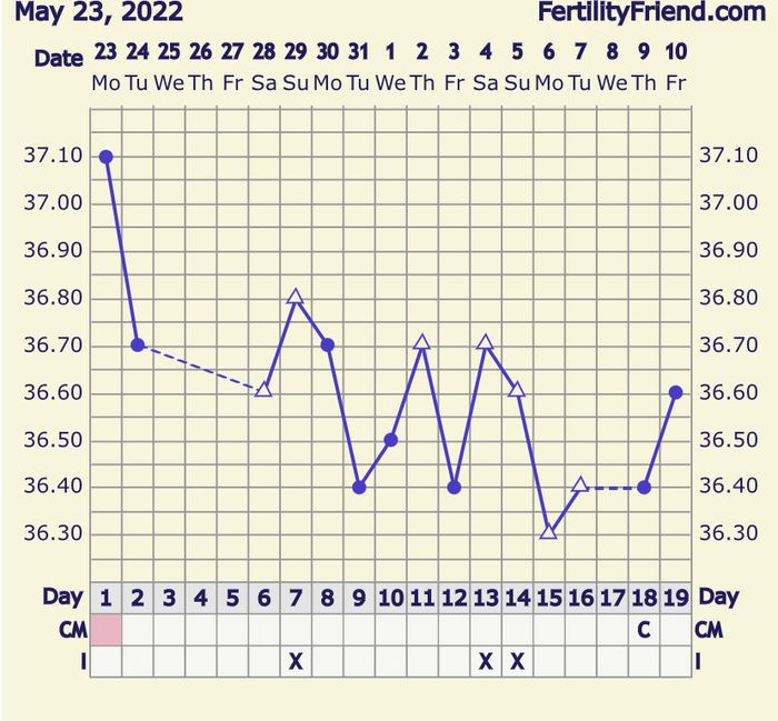 Temperatura basale per ricerca cicogna 🤞🏻 8
