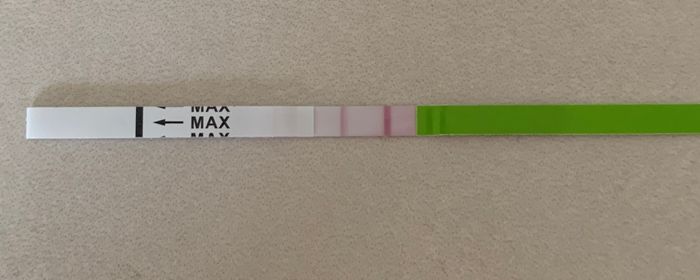 Temperatura basale per ricerca cicogna 🤞🏻 - 1