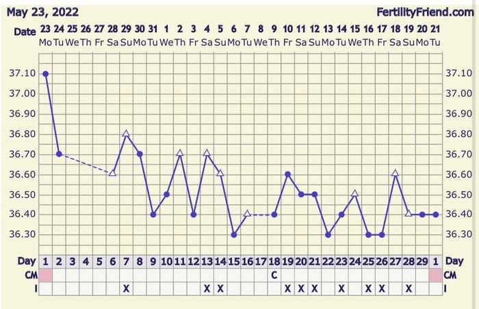 Temperatura basale per ricerca cicogna 🤞🏻 3