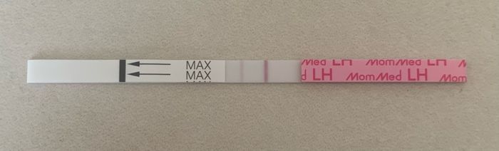 Temperatura basale per ricerca cicogna 🤞🏻 - 2