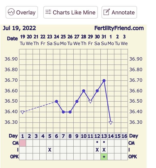 Temperatura basale per ricerca cicogna 🤞🏻 2