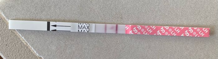 Temperatura basale per ricerca cicogna 🤞🏻 - 1