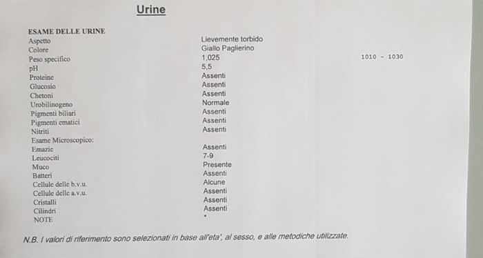 Temperatura basale per ricerca cicogna 🤞🏻 - 1