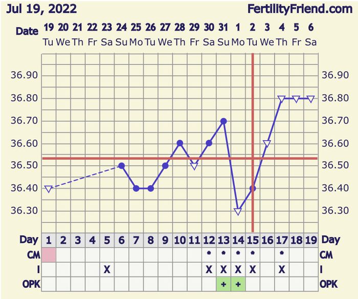 Temperatura basale per ricerca cicogna 🤞🏻 4