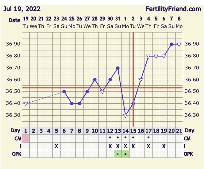 Temperatura basale per ricerca cicogna 🤞🏻 2