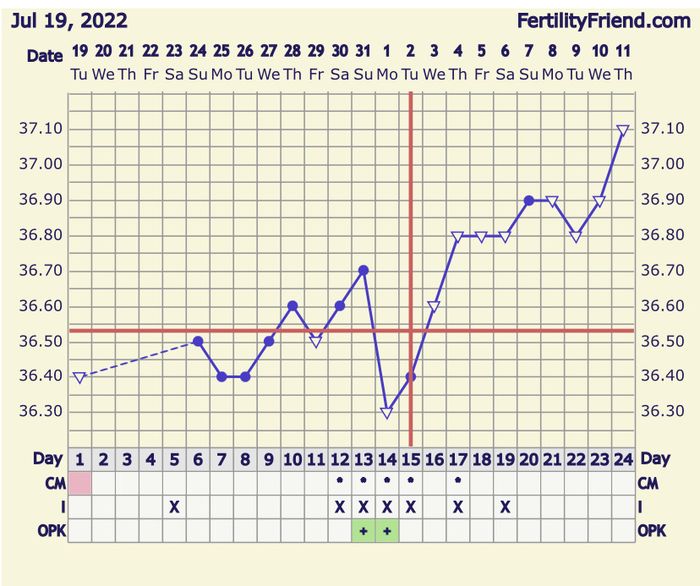 Temperatura basale per ricerca cicogna 🤞🏻 2