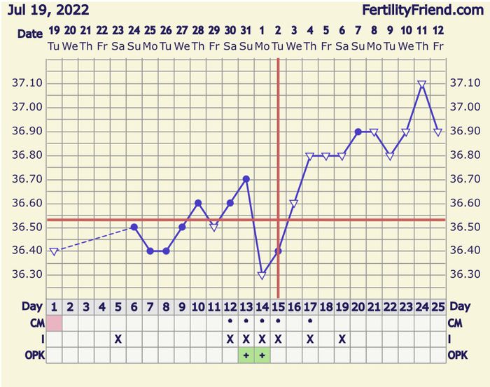 Temperatura basale per ricerca cicogna 🤞🏻 - 1