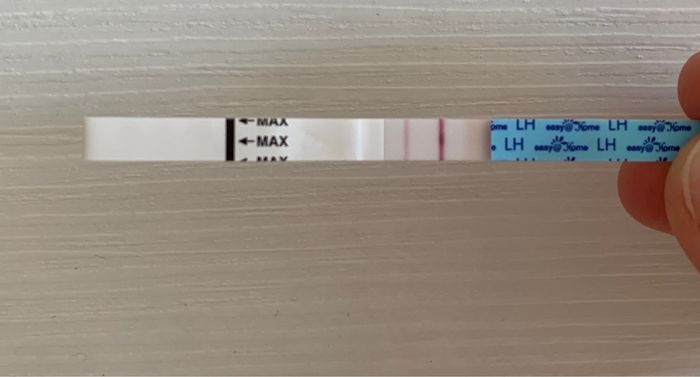Temperatura basale per ricerca cicogna 🤞🏻 3