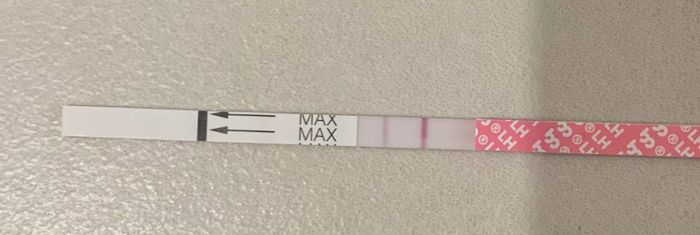 Temperatura basale per ricerca cicogna 🤞🏻 6