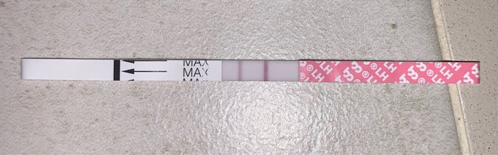 Temperatura basale per ricerca cicogna 🤞🏻 - 2