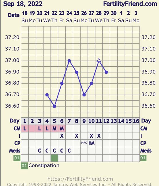 Temperatura basale per ricerca cicogna 🤞🏻 - 4