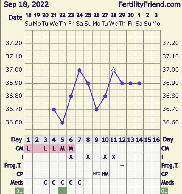 Temperatura basale per ricerca cicogna 🤞🏻 14
