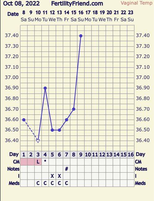 Temperatura basale per ricerca cicogna 🤞🏻 1