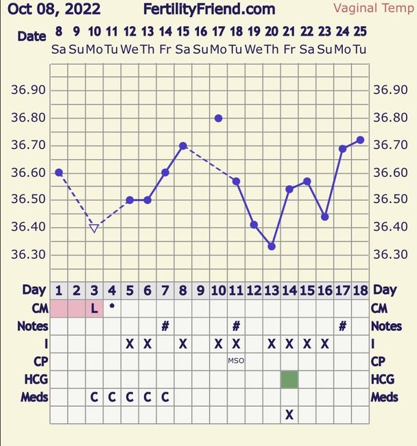 Temperatura basale per ricerca cicogna 🤞🏻 4
