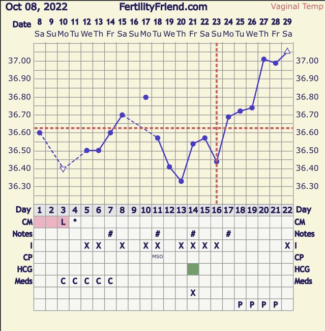 Temperatura basale per ricerca cicogna 🤞🏻 3