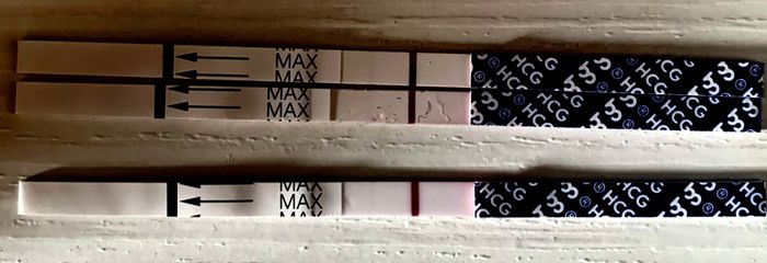 Per chi ha fatto il Gonasi - 2