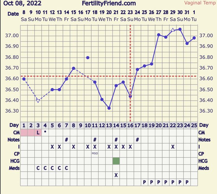 Temperatura basale per ricerca cicogna 🤞🏻 16