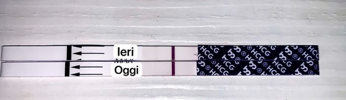 Per chi ha fatto il Gonasi - 1