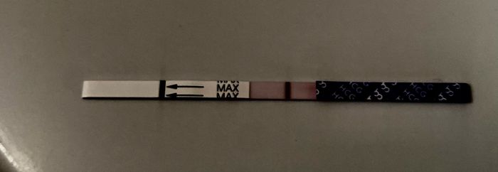 Per chi ha fatto il Gonasi - 2