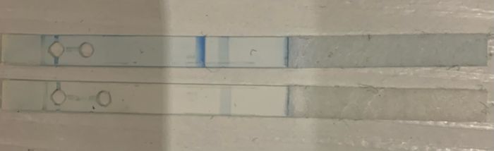 Test digitale smontato, aiutatemi 🙏 grazie ♥️ 2