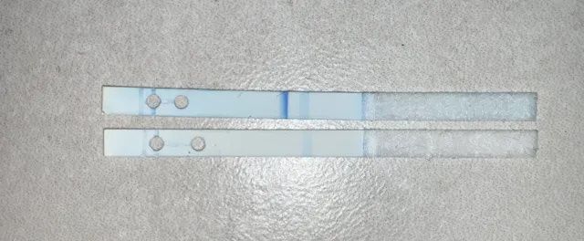 Test digitale smontato, aiutatemi 🙏 grazie ♥️ 3