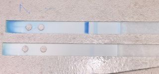 Test digitale smontato, aiutatemi 🙏 grazie ♥️ 5